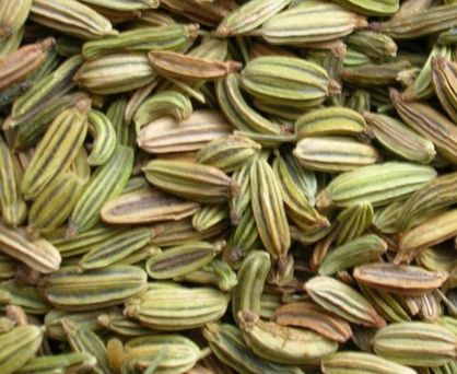 fennel seeds for allergies